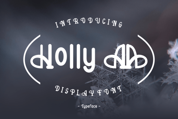 Discover the Power of Holly Aa: A Unique Display Font for Creative Expression