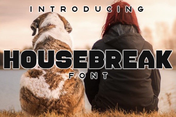 Housebreak: A Bold and Stylish Display Font for Creative Projects